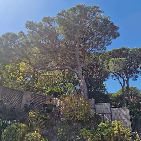 Mont Cabasse Comfortable Villa